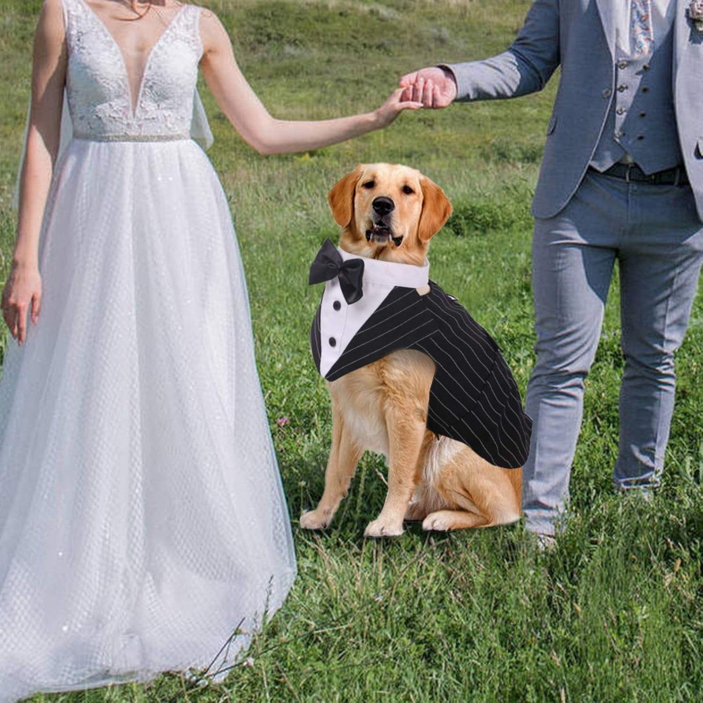Dog Tuxedo Suit with Bow Tie – Wedding & Formal Outfit