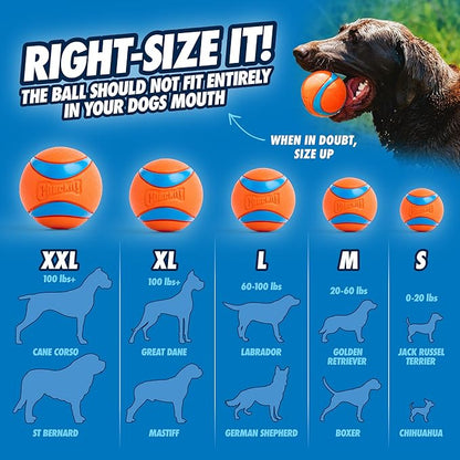 ChuckIt Dog Sport Launcher 25M