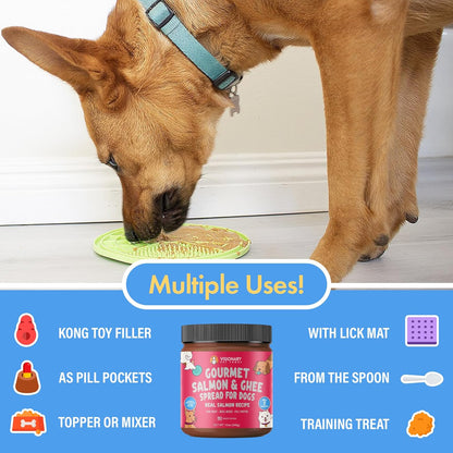 Salmon and Ghee Meat Spread | NEW 12oz Jar - Dog Treat - Visionary Pet Foods