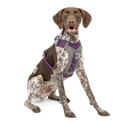 Purple/grey K9 Outdoors Journey Air Dog Harness with reflective trim, front D-ring, handle, and ripstop nylon fabric.