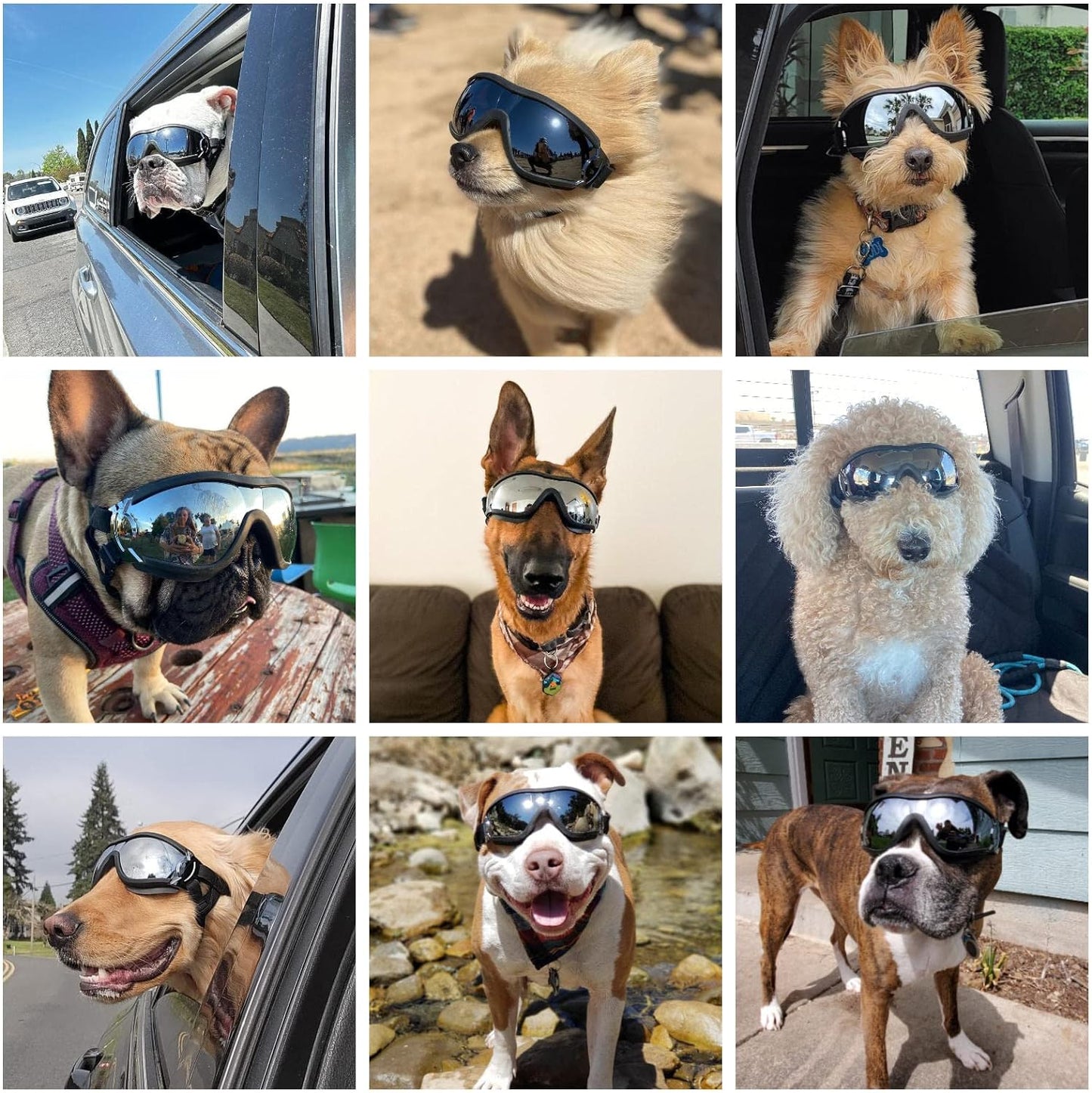 Dog goggles anti UV skiing sunglasses