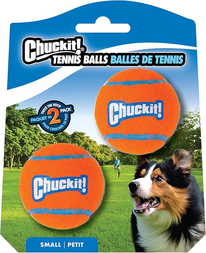ChuckIt Dog Tennis Ball - 2 Pack - Dog Toy - The Family Pet