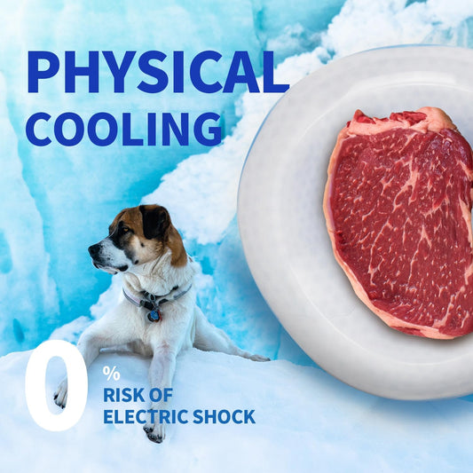 Chill Out - Dog Cooler Bowl - Pet Cooler Bowl Keeps Water