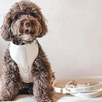 Elise Harness & Leash Set - Bone