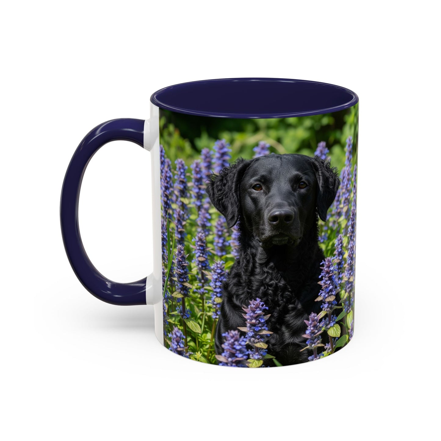 Curly Coated Retriever Accent Coffee Mug - Perfect Gift for