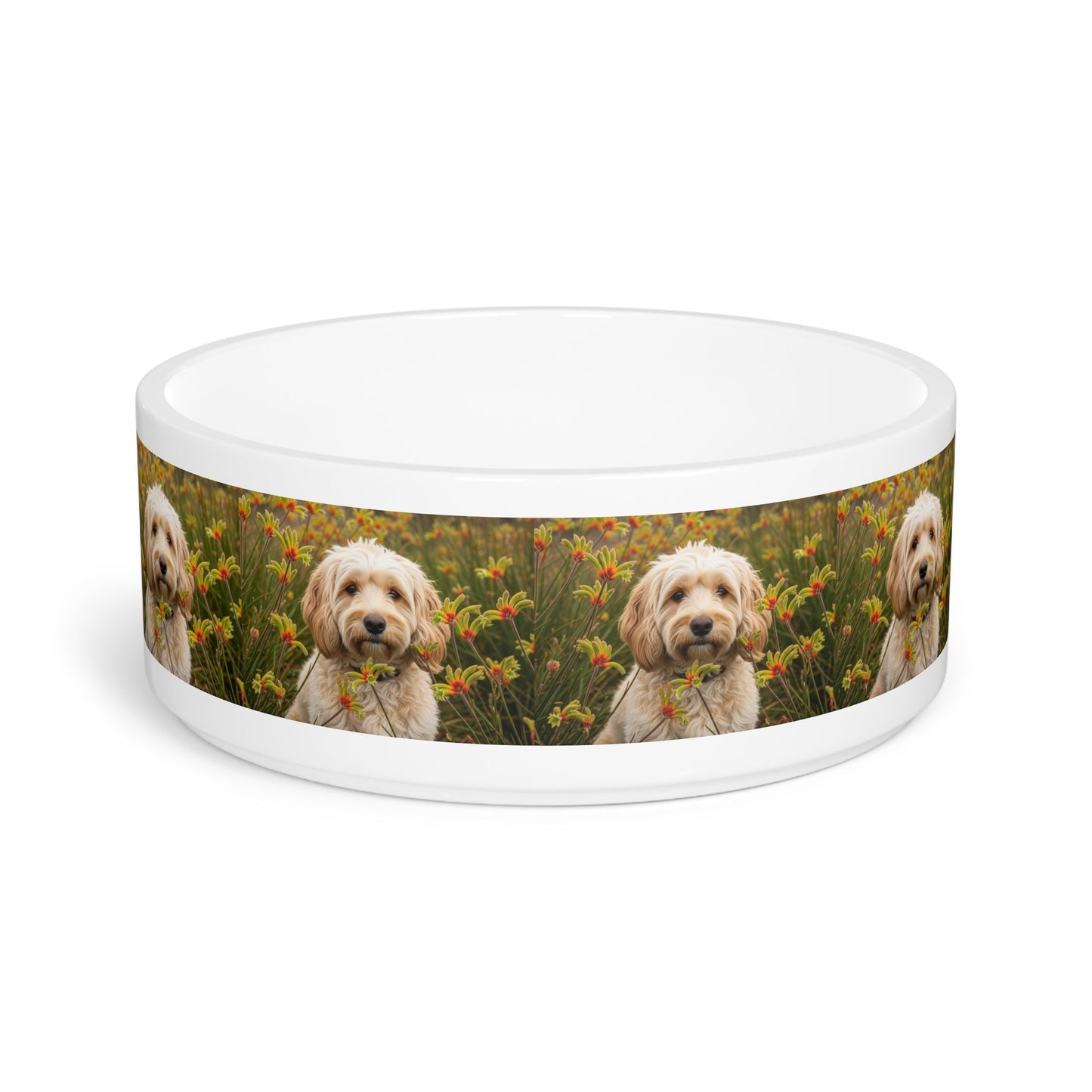 Cavoodle Dog Pet Bowl