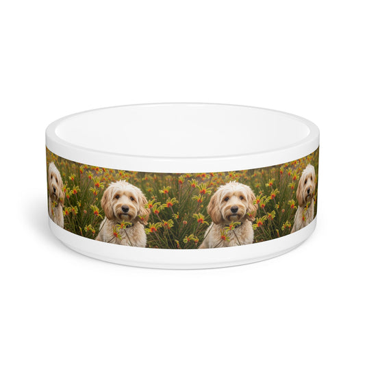 Cavoodle Dog Pet Bowl