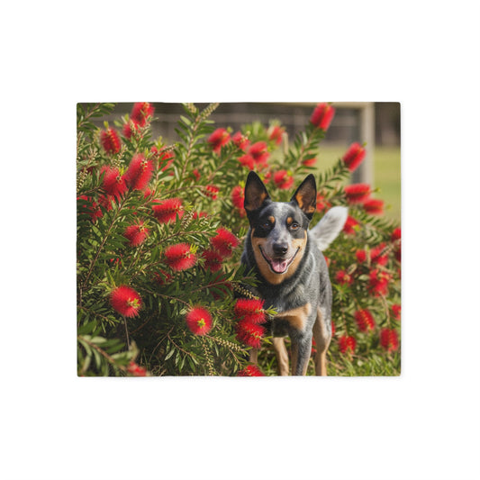 Australian Cattle Dog Sweatshirt Blanket