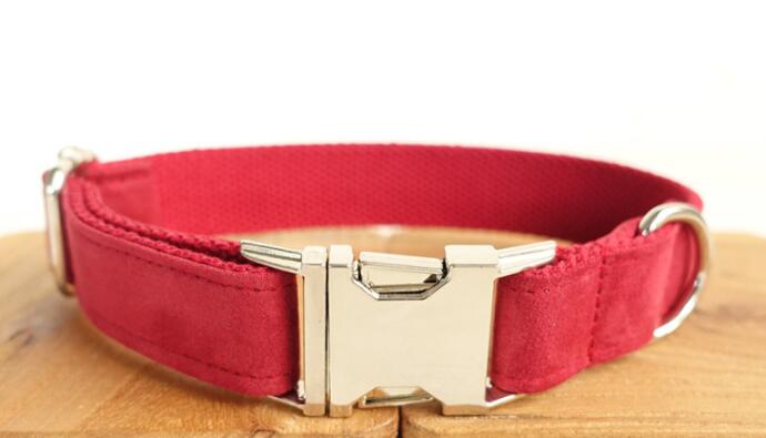 Pet Traction Dog Collar Adjustable Dog Walking Gear Premium