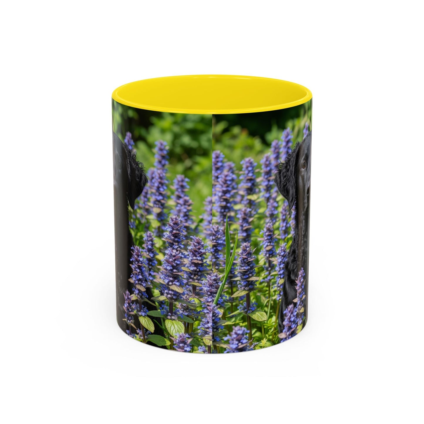 Curly Coated Retriever Accent Coffee Mug - Perfect Gift for