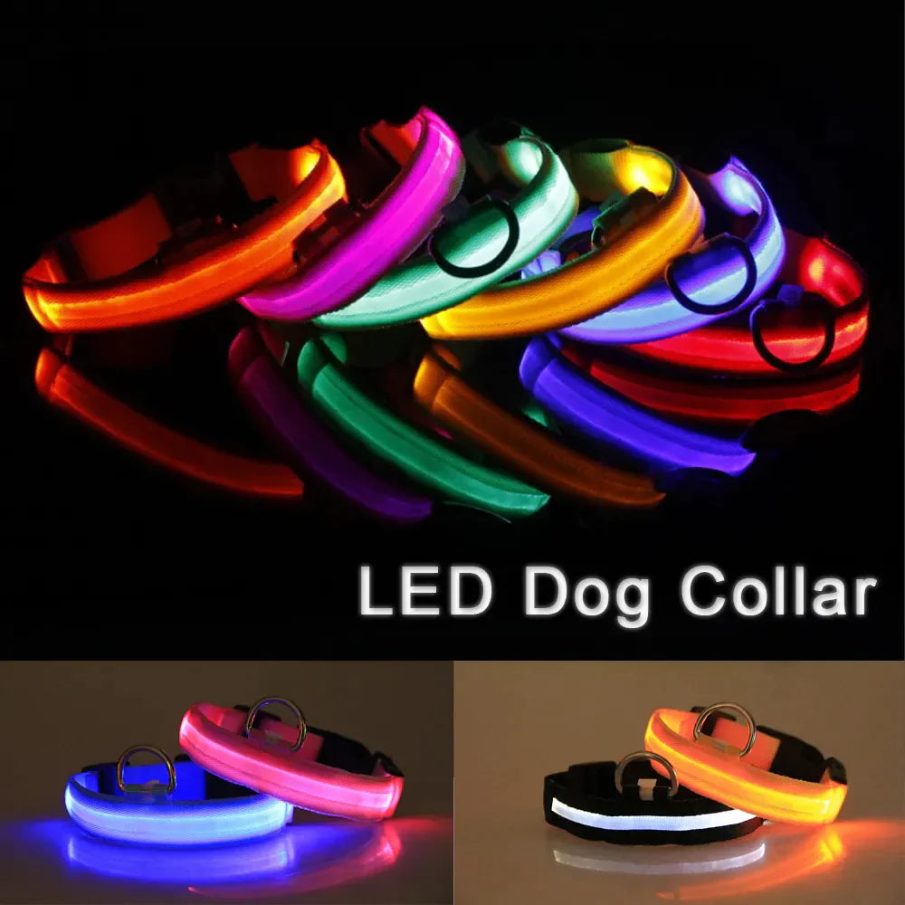 Royal Luminous Safety Pet Collar Adjustable LED Night Visibility 💡👑