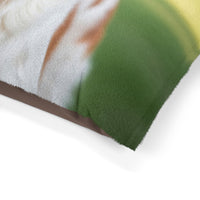 Brittany Dog Pet Bed