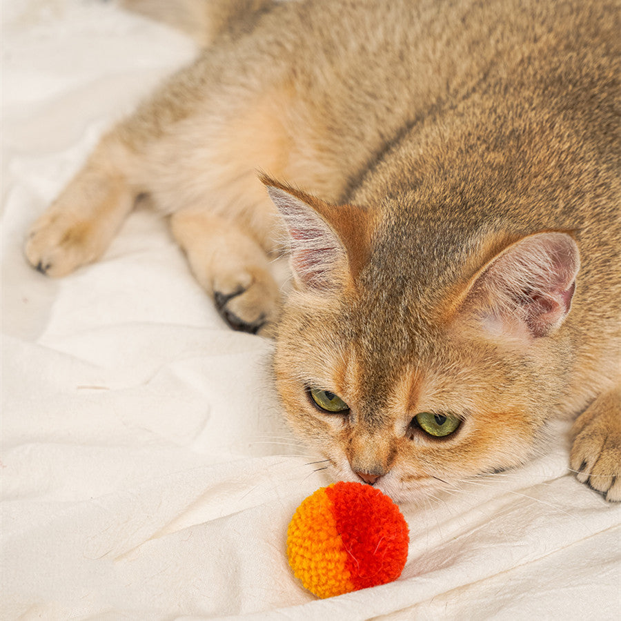 Cat Quiet Hair Ball Pet Toy