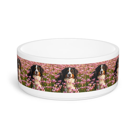 Bernese Mountain Dog Pet Bowl