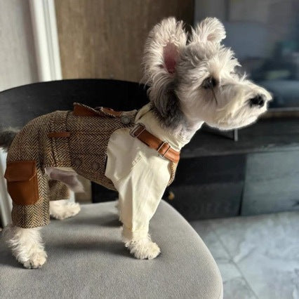 Autumn And Winter Overalls And Hoodies For Pet Cats And Dogs