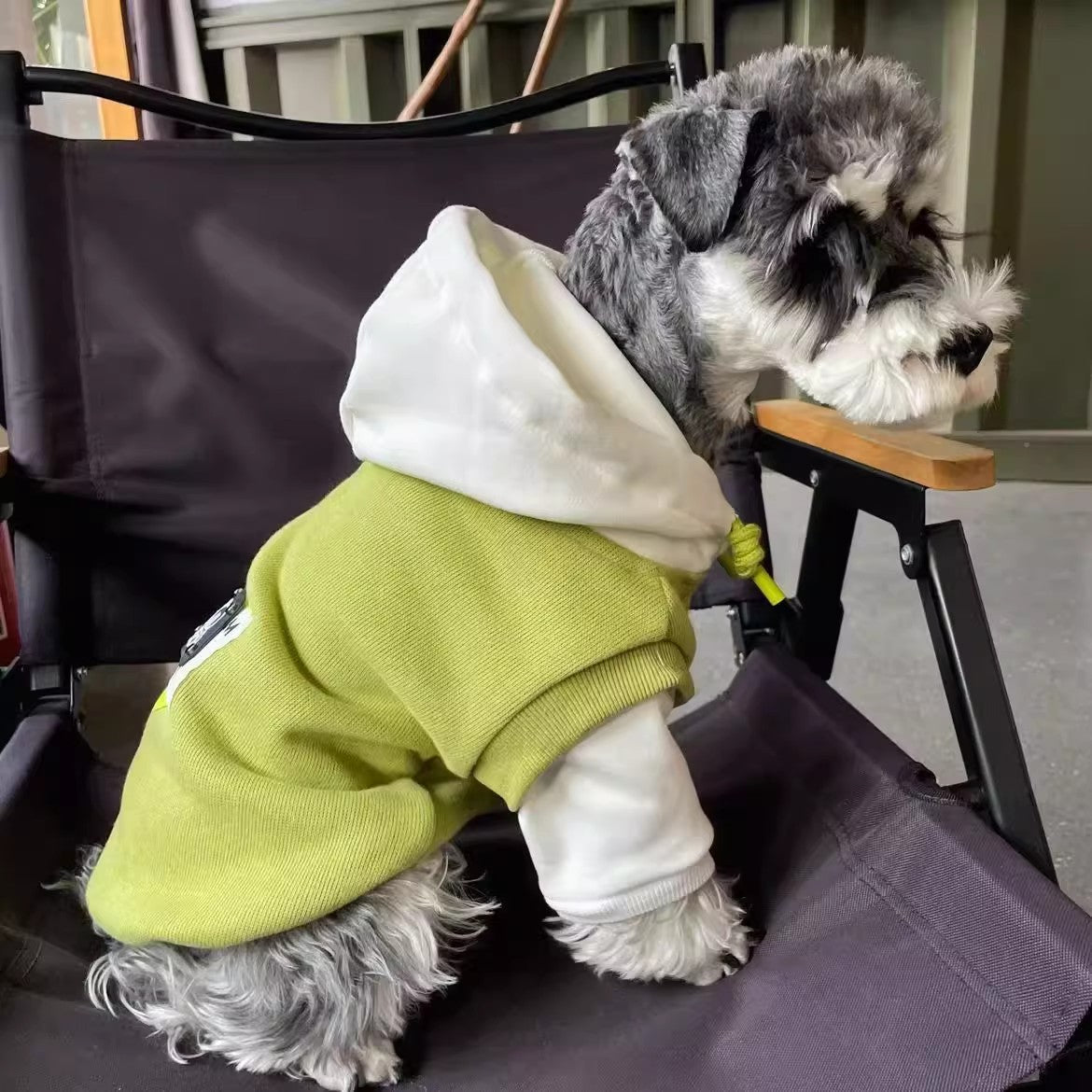 Fleece-lined Insulated Hooded Sweatshirt For Pets