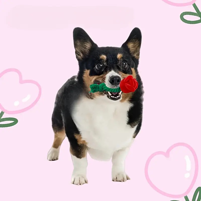 Plush Red Rose Flower Rope Tug Dog Toy