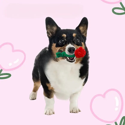Plush Red Rose Flower Rope Tug Dog Toy