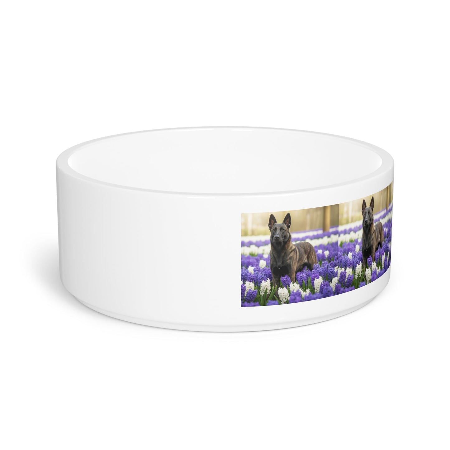 Dutch Shepherd Dog Pet Bowl