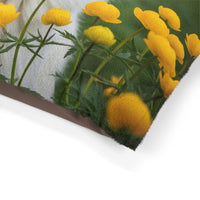 Romanian Mioritic Shepherd Dog Pet Bed