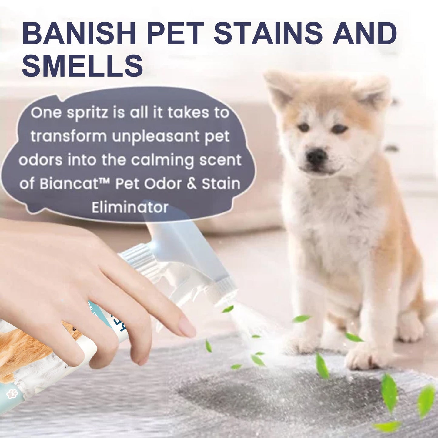 Pet Odor & Stain Eliminator, Clean Dog And Cat Body Odor Feces Odor Removal Indoor Fresh Deodorizer