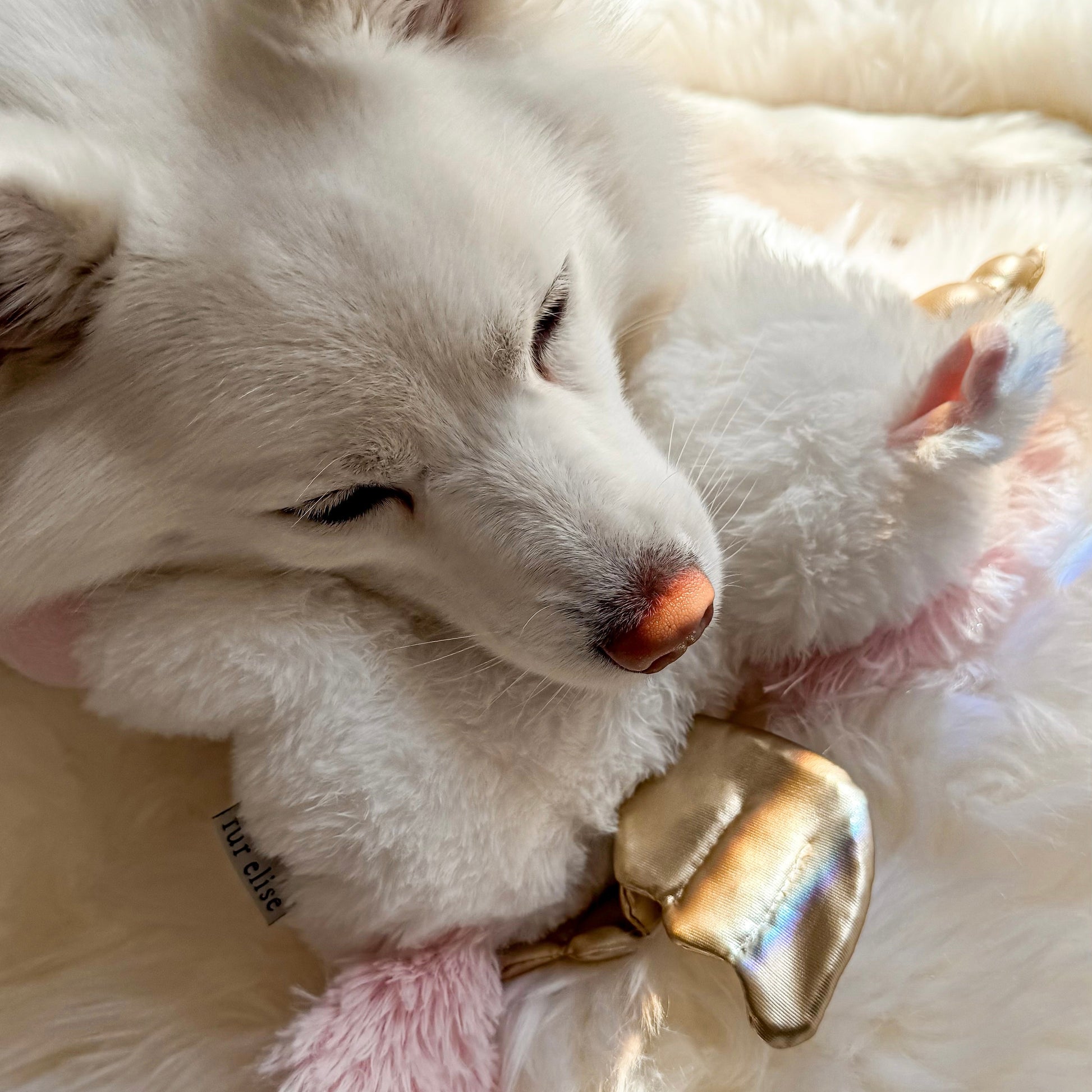 Yuna Plushie - Pet Toy - Elise Galleria