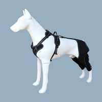Pet Leg Support Dog Knee Brace Post-Surgery Rehabilitation