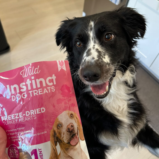 Purrfect Kingdom™ - Freeze Dried Turkey Hearts Pet Treat