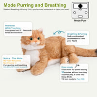 Percy 2.0 Golden British Short Hair Cat- Breathing  Heartbeat Pur,Voice Robonic Cat