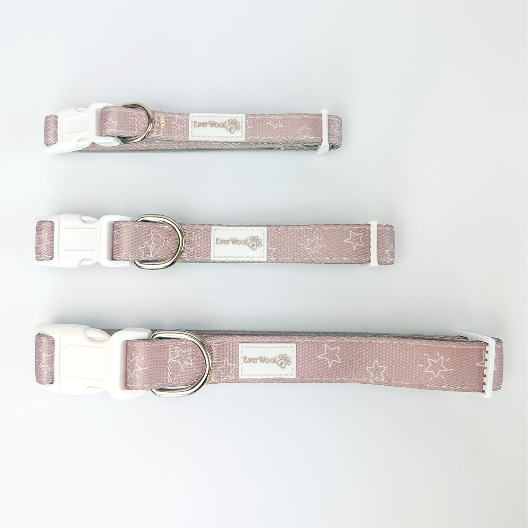 Asteria Collar Dog Collar | Purrfect Pet Kingdom
