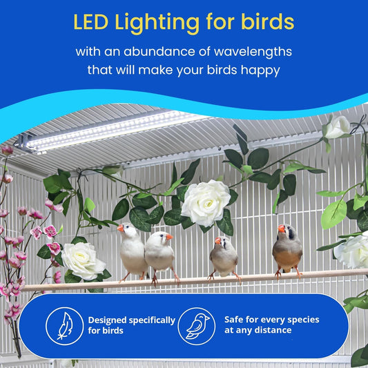 Illuminate Your Bird's World with the Happybird Full Spectrum LED Light - Safe, Easy-to-Install, and Perfect for Soft Bill Birds