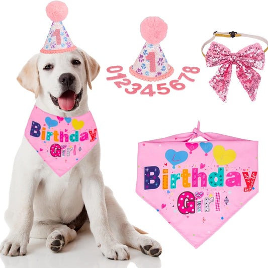 Dog Birthday Party Supplies Boy Girl Dog Birthday Hat With