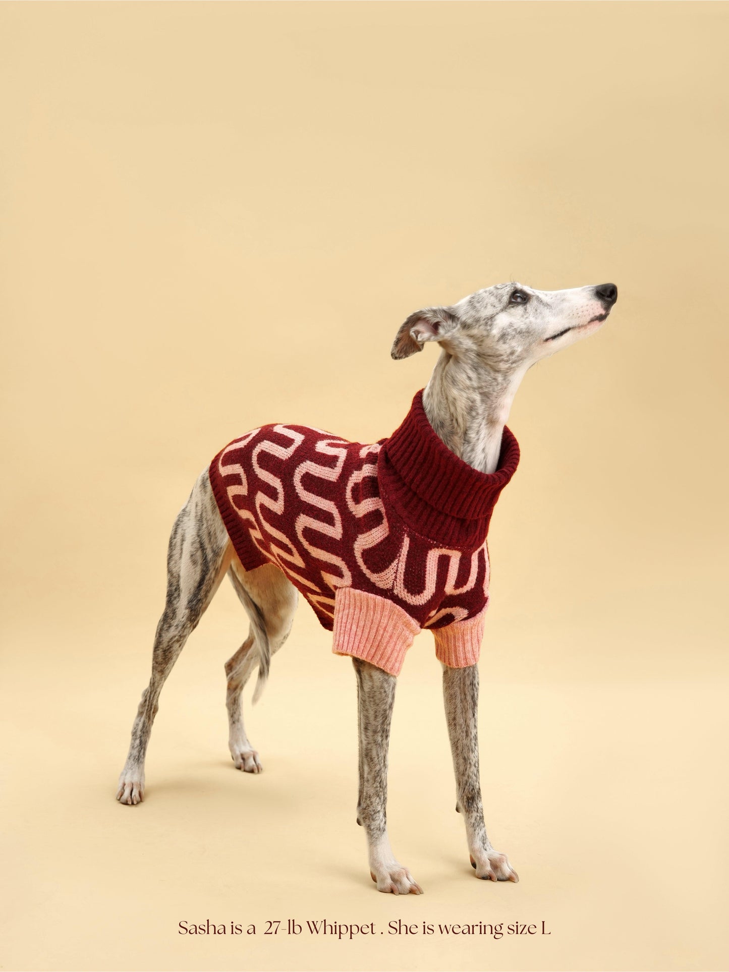 Rosé Bliss Sweater - Dog Sweater - BarkBarkBaby