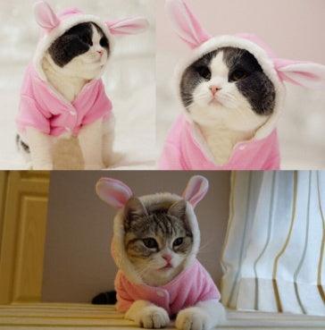 Pet Costume - Cute Rabbit Hooded Soft Fleece Dress for Cats