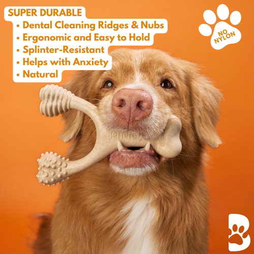 Dog Chew Toy Hard Durable Natural Eco-Friendly 🦴 - Purrfect Pet Kingdom
