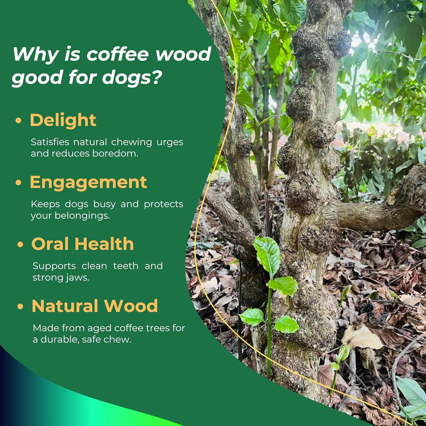 Coffee Wood Dog Chew Stick Toy, Natural and Real Wooden Bone Sticks for Pets - MARLA C DOYLE