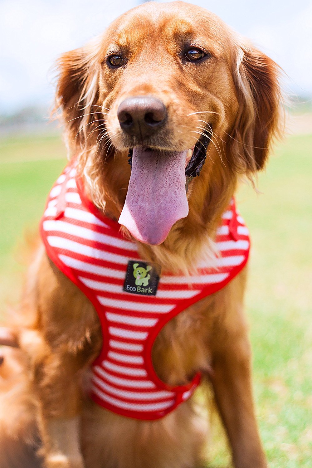 Eco Style Dog Harness with Secure Fit for Dogs and Cats - Dog Harness view 6 from Purrfect Pet Kingdom