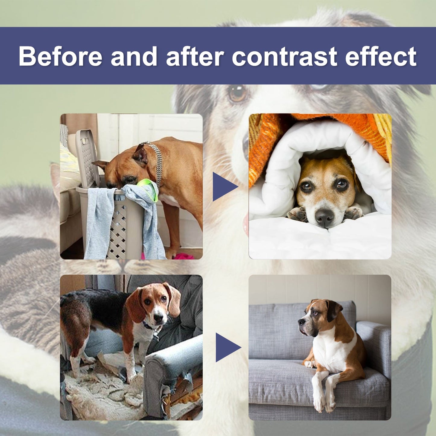 Pet Bitter Anti-Biting Spray, Prevent Dogs Chewing Table And Chair Legs, Scratching Sofa Spray