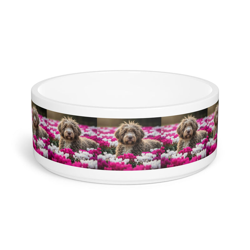 Bergamasco Sheepdog Pet Bowl