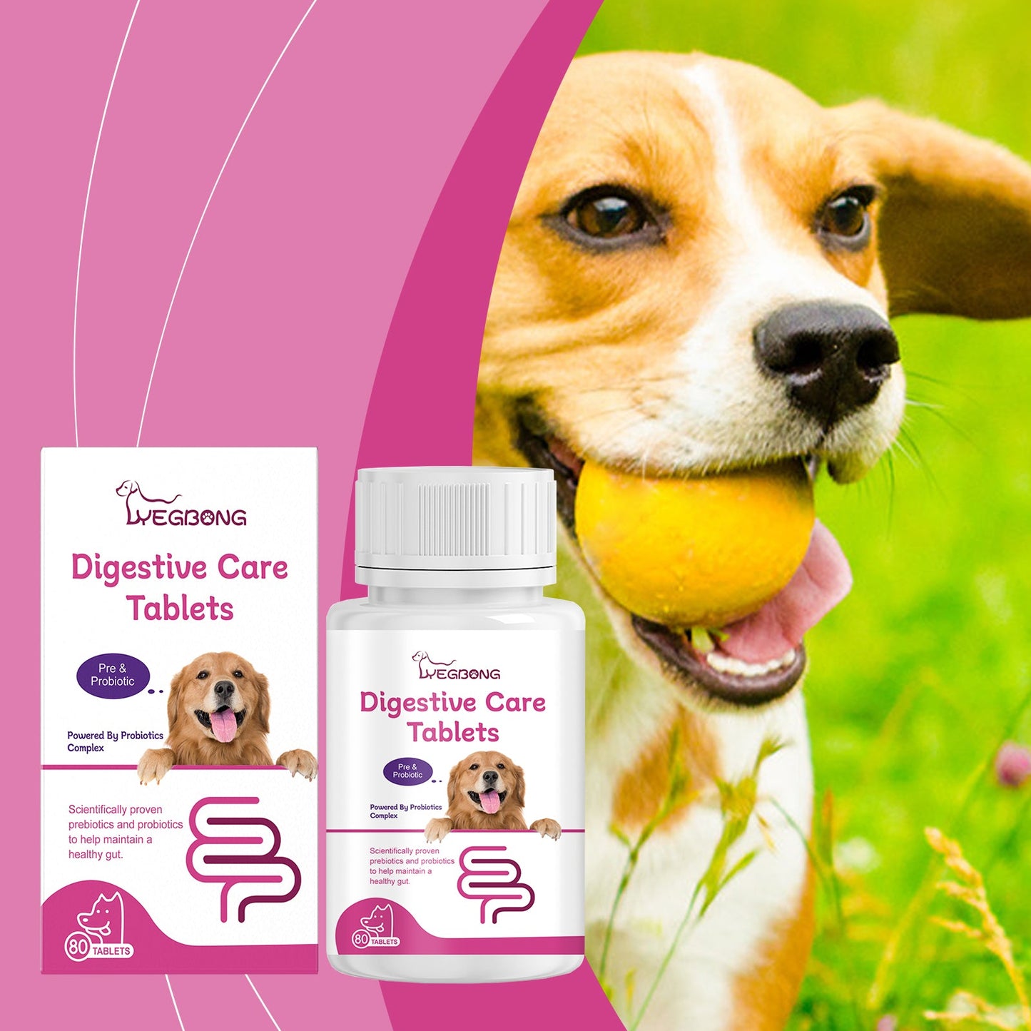 Dog Probiotic Tablets To Improve Intestinal Health, Balance Digestion And Absorption Of Pet Nutritional Supplements - Purrfect Pet Kingdom