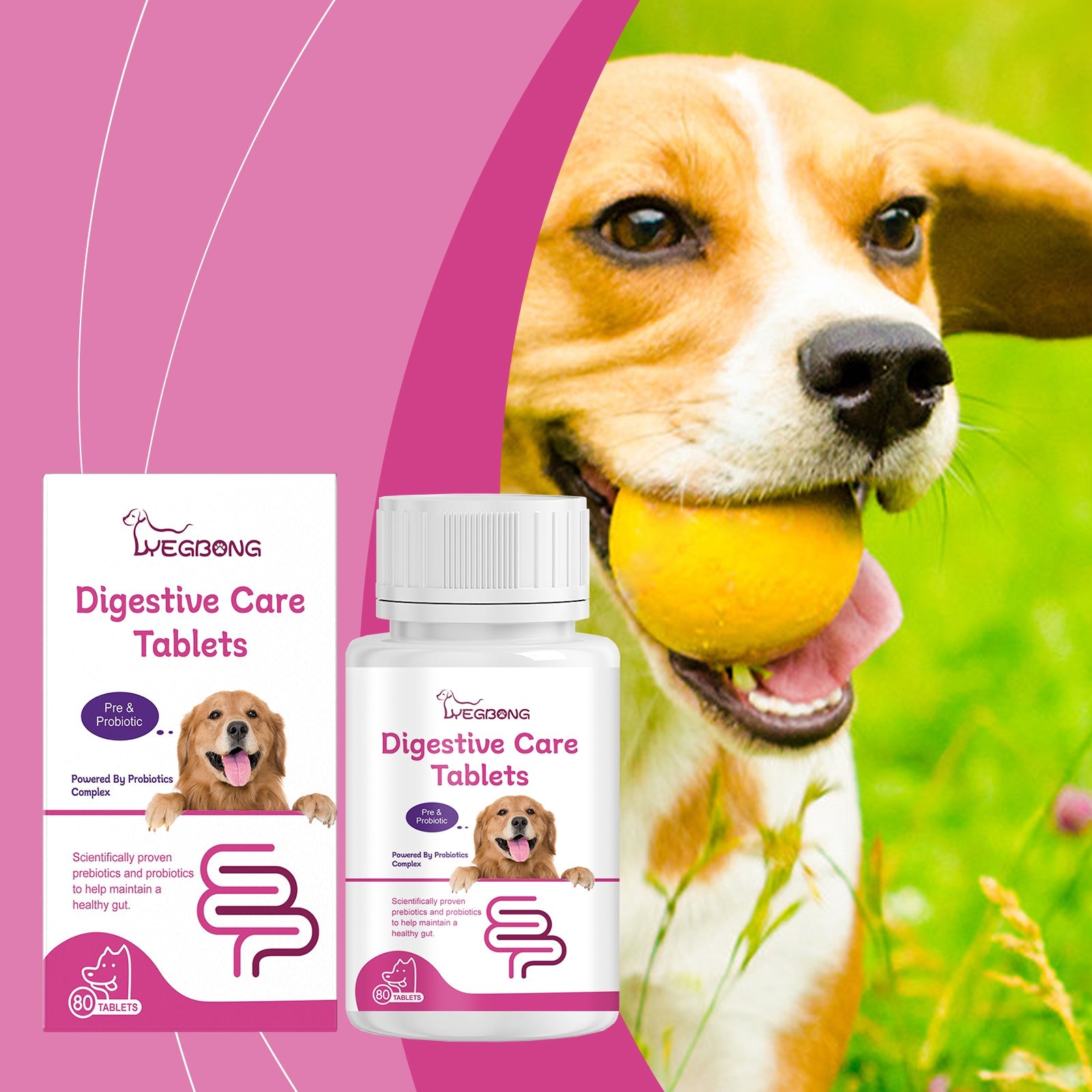 Dog Probiotic Tablets To Improve Intestinal Health, Balance Digestion And Absorption Of Pet Nutritional Supplements - Purrfect Pet Kingdom