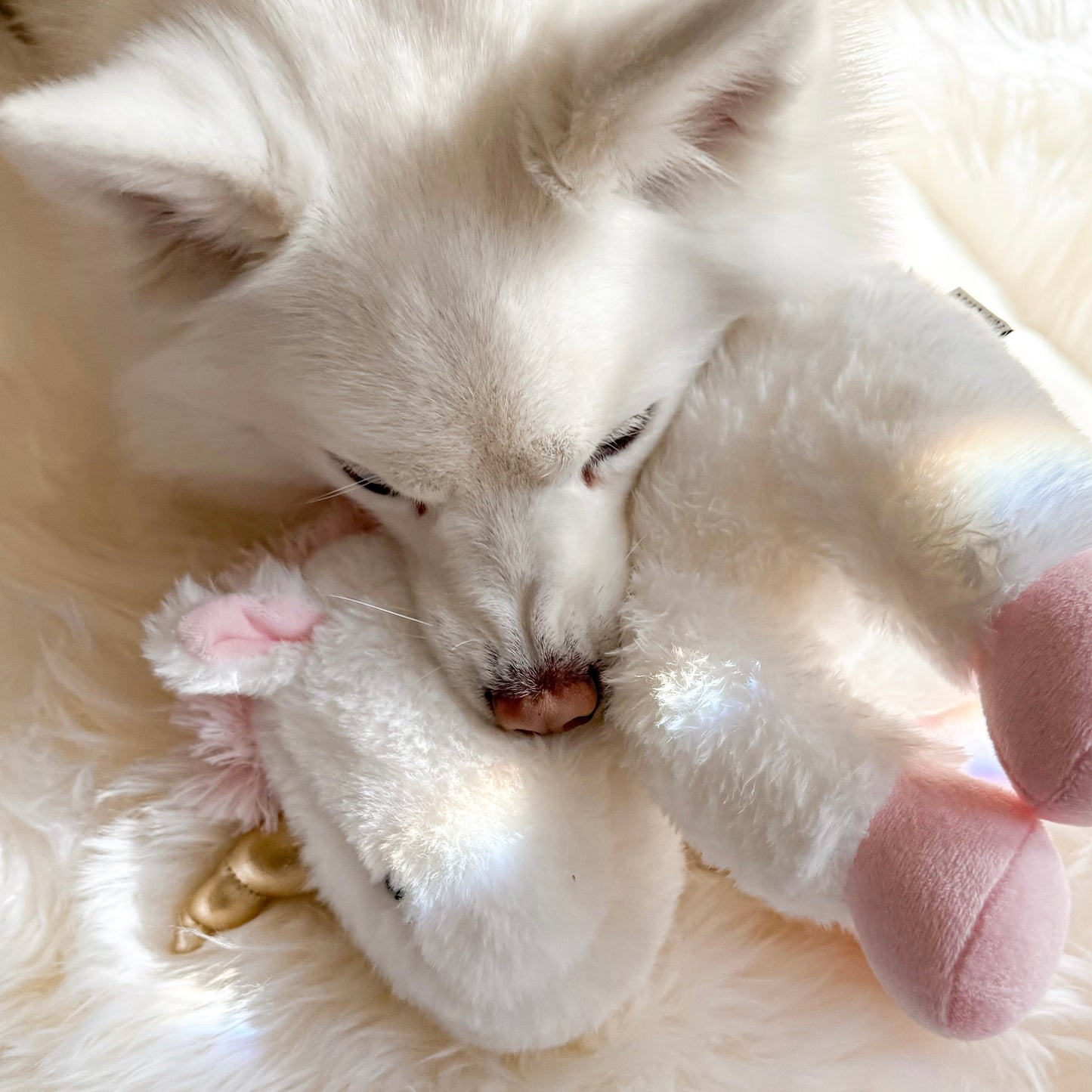 Yuna Plushie - Pet Toy - Elise Galleria