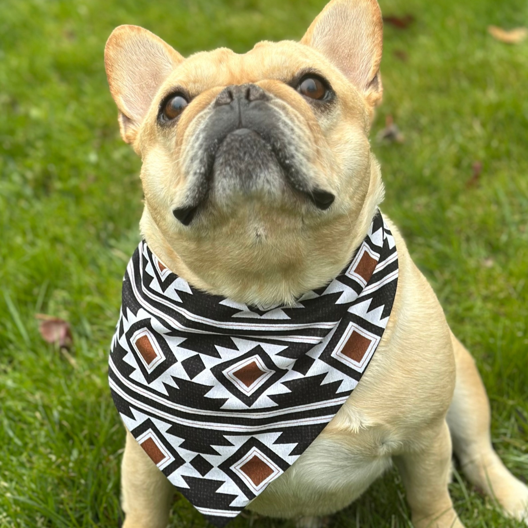 Southwest Dog Bandana - Purrfect Pet Kingdom