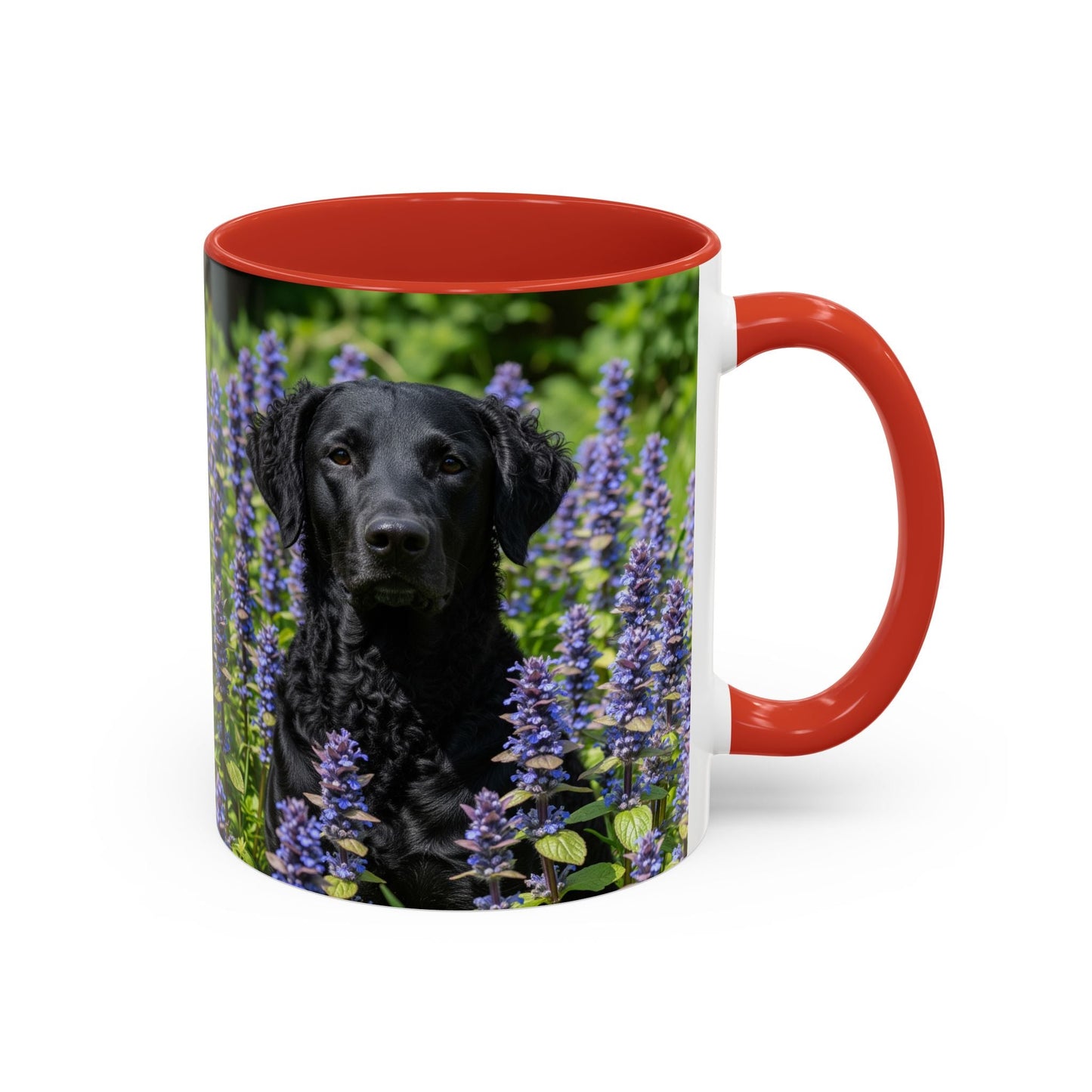 Curly Coated Retriever Accent Coffee Mug - Perfect Gift for