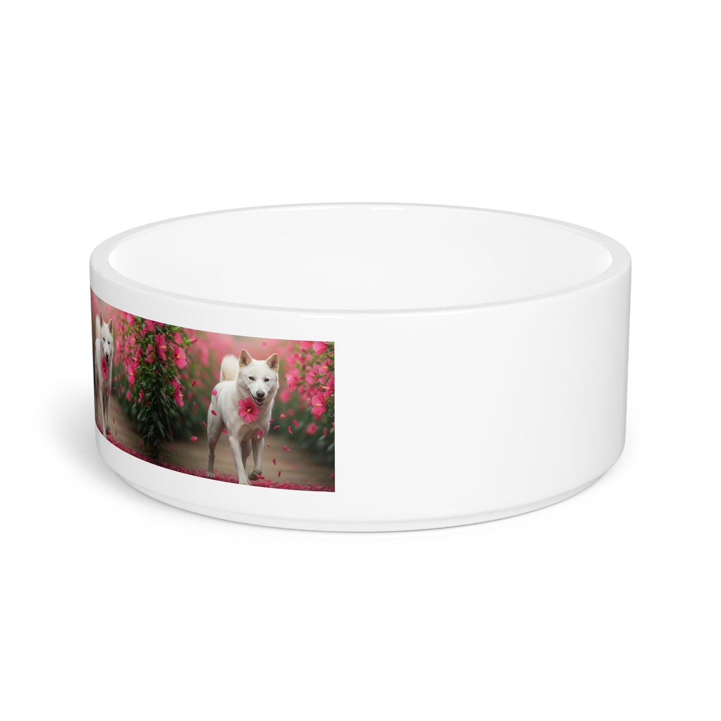 Korean Jindo Dog Pet Bowl