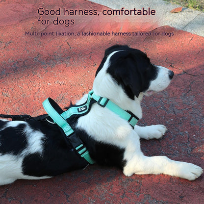 Dog Hand Holding Rope Chest Strap Reflective Vest