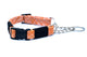 Adventure Style Flat Weave Climbing Rope Martingale Dog Collar - Dog Harnesses - Euro - Dog Collars and Leads - L 1" Wide 15" - 24" Range - sku - 43917737623748
