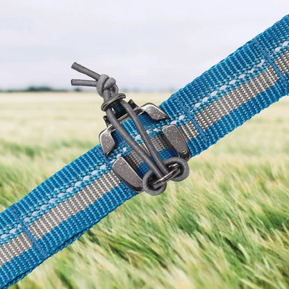 Close-up of blue reflective nylon RSG stub leash with metal hardware and grey bungee cord attachment detail.