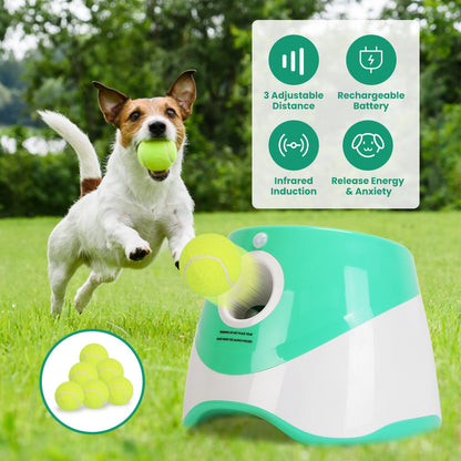 Automatic Dog Ball Launcher Included 6 Tennis Balls Dog With