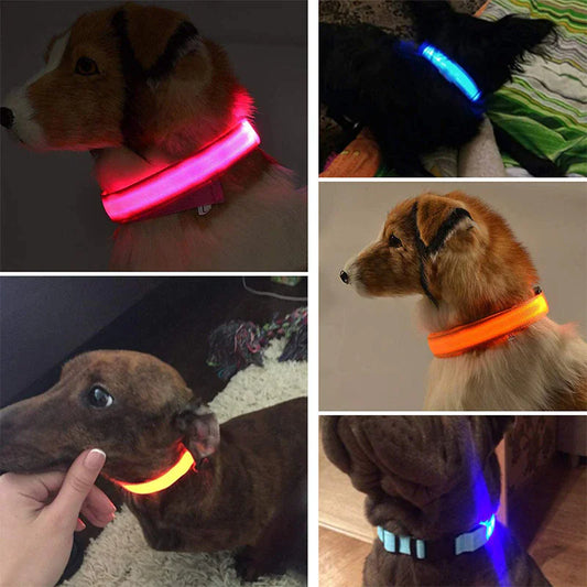 Royal Luminous Safety Pet Collar Adjustable LED Night Visibility 💡👑
